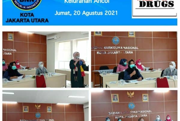 Asistensi Virtual Operasional Program IBM Kelurahan Ancol